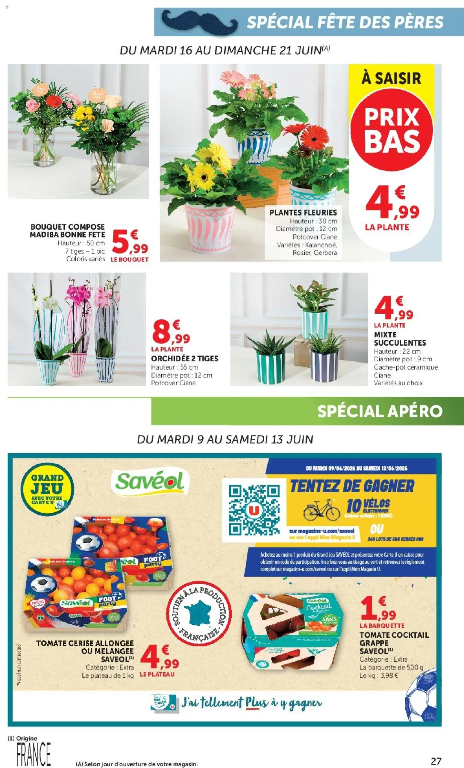 {H1} | Page: 27 | Produits: Plateau, Plantes, Orchidée, Tomate cerise