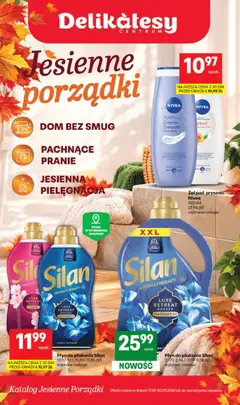 Pogląd oferty "Delikatesy Centrum gazetka - Jesienne porządki" - ważna od 17.09.2026