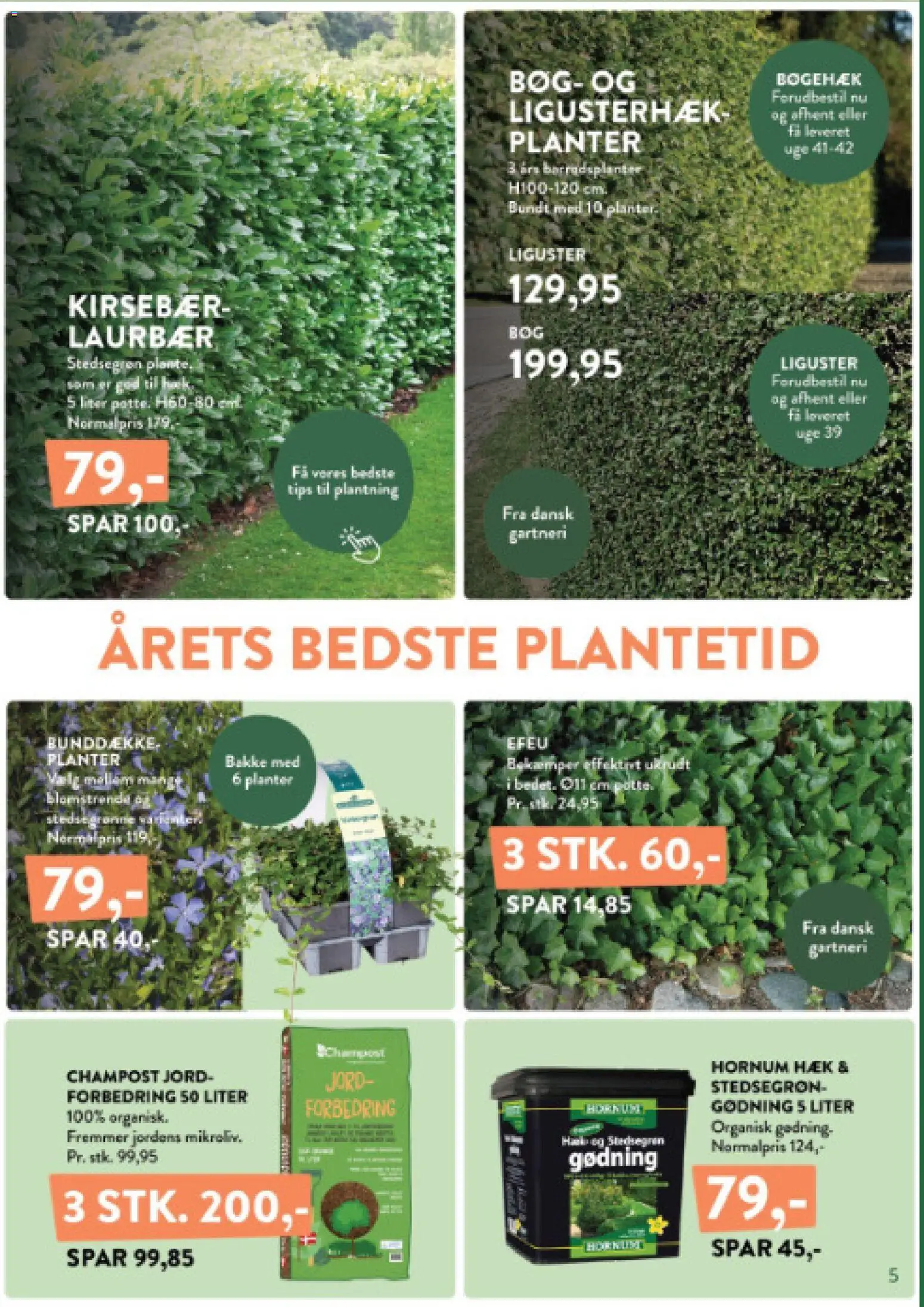 Plantorama tilbudsavis – gyldig fra 04/09/2026 | Side: 5 | Produkter: Kirsebær, Søm