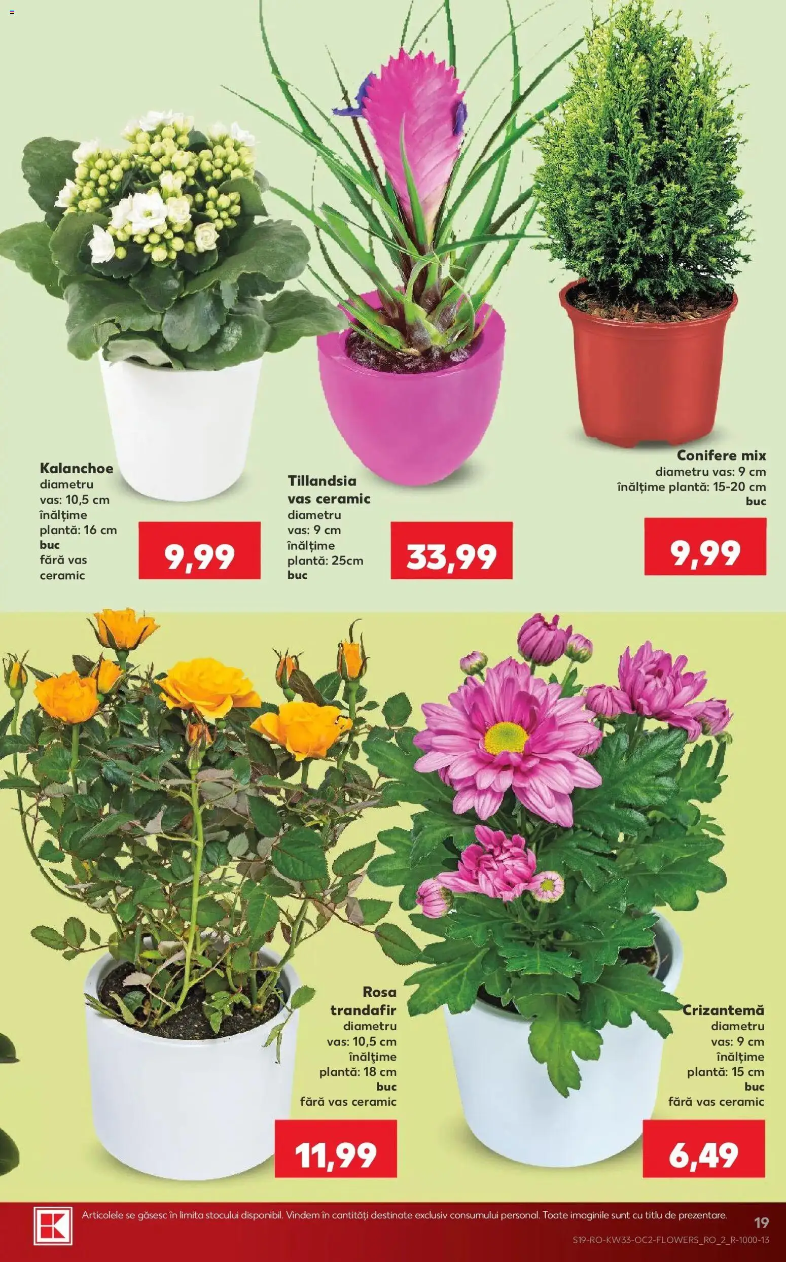 Kaufland Domnesti 12.08.2026 - Revista si Oferta | Pagină: 19