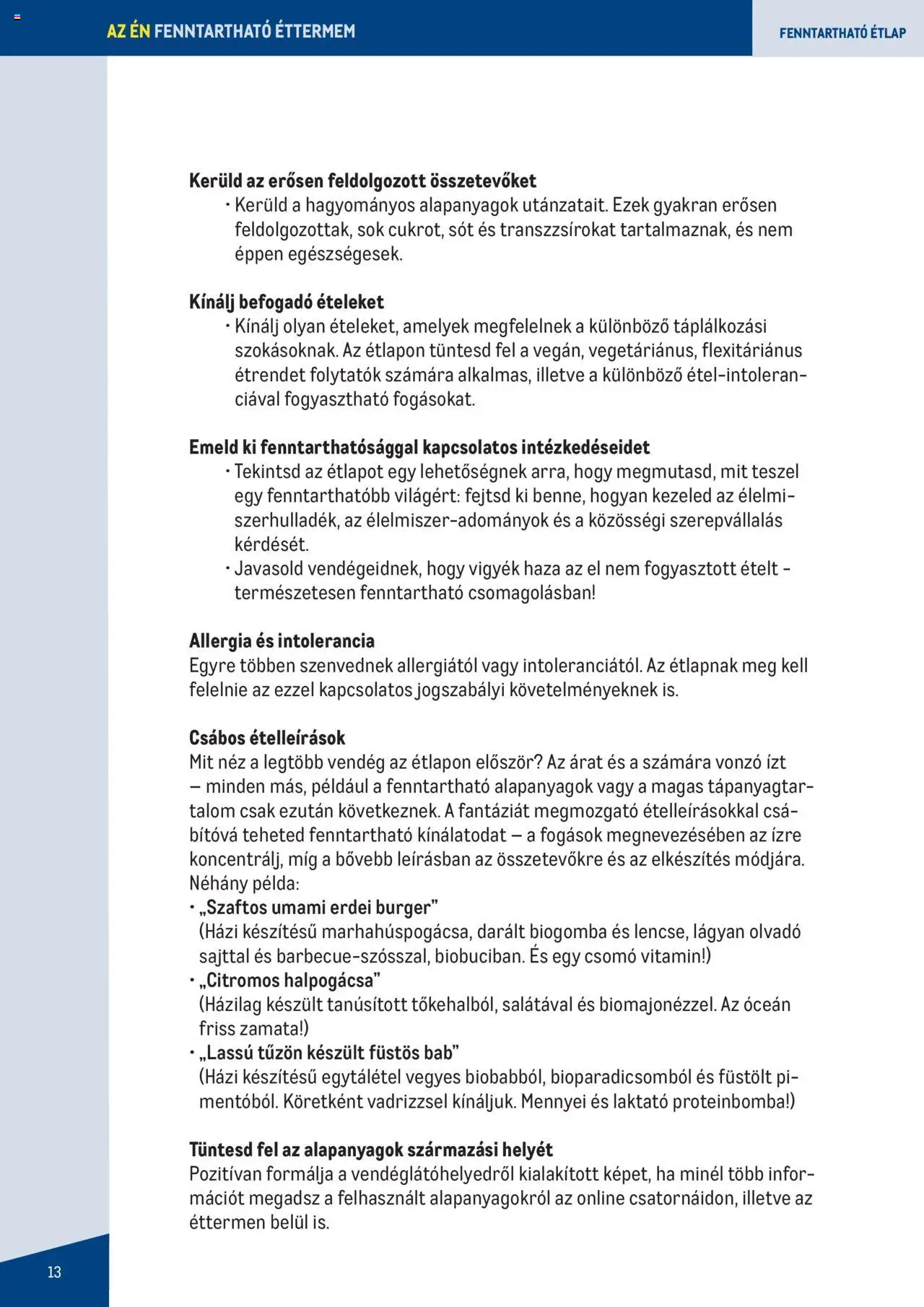 Metro akciós ujság - amely érvényes a következő dátumtól: 2023.06.07. | Oldal: 13