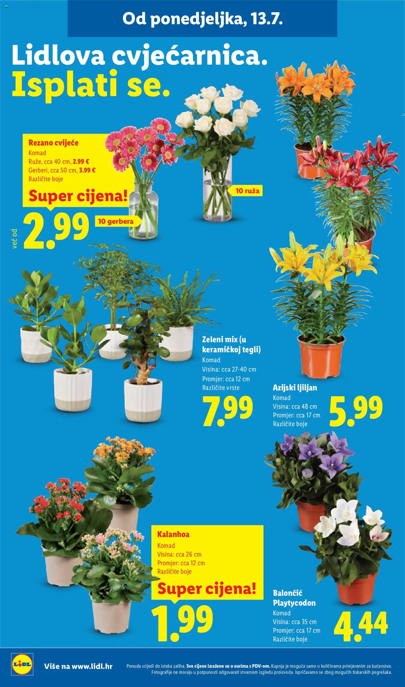 Lidl Katalog novi od 13.07.2026 > prelistaj akcije — page 50