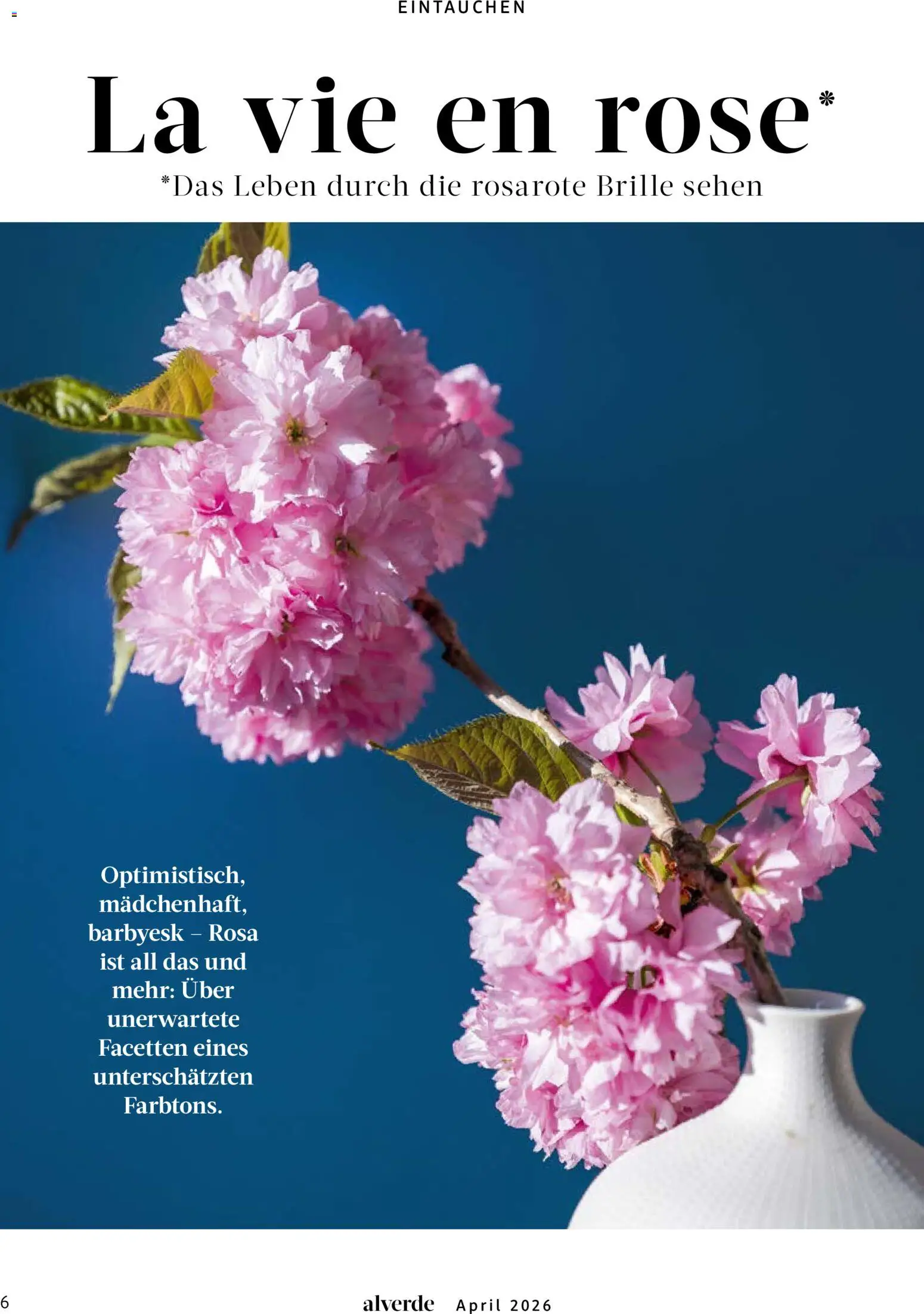 dm drogerie Prospekt 	 – gültig ab 01.04.2026 | Seite: 6 | Produkte: Brille