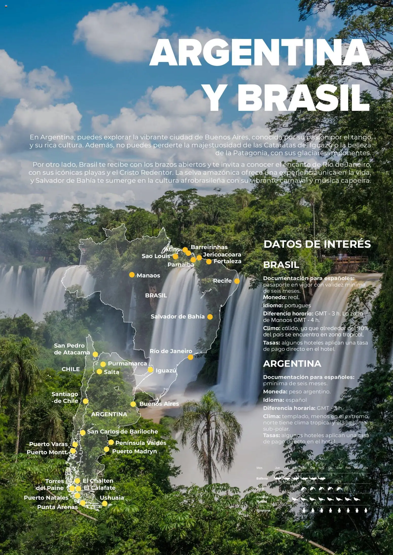 Viajes El Corte Inglés Argentina y Brasil │ válido desde el 01/06/2026 | Página: 5 | Productos: Té, Peso