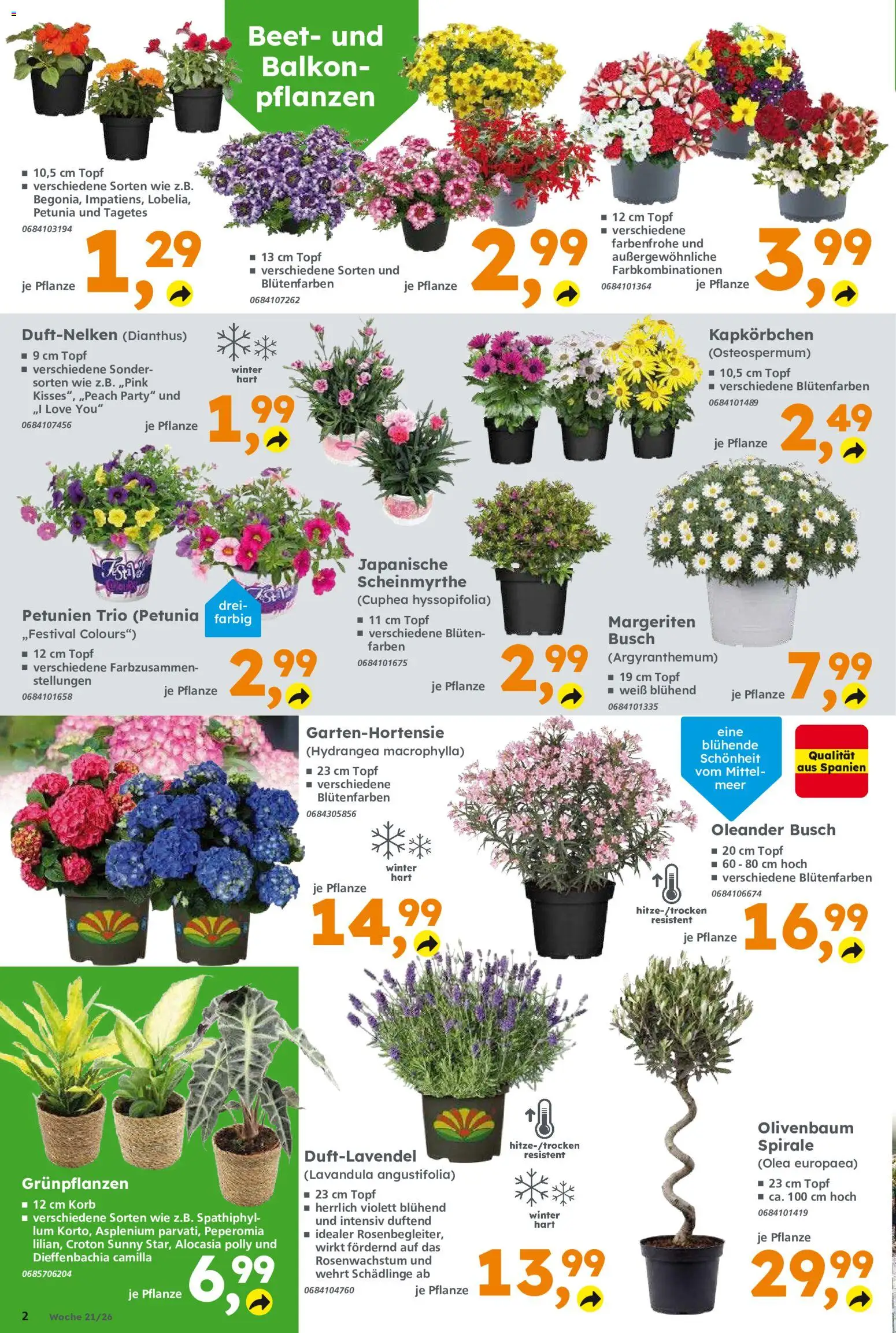 Globus Baumarkt Prospekt Dietzenbach	 – gültig ab 18.05.2026 | Seite: 2
