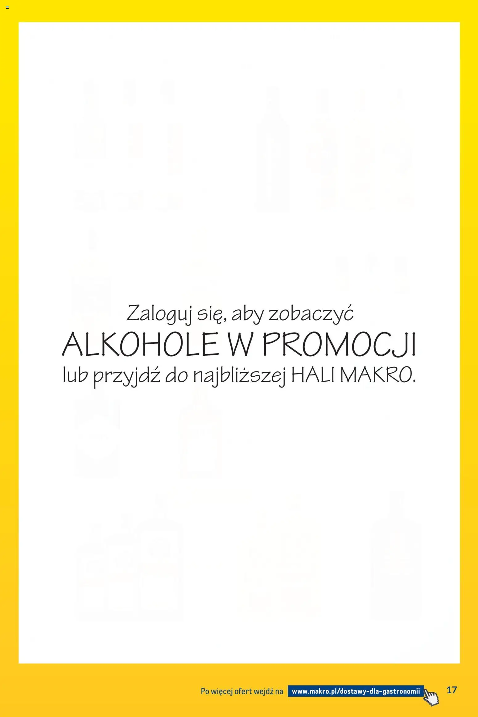 Makro gazetka - Dostawy dla gastronomii od 01.06.2026 | Strona: 17
