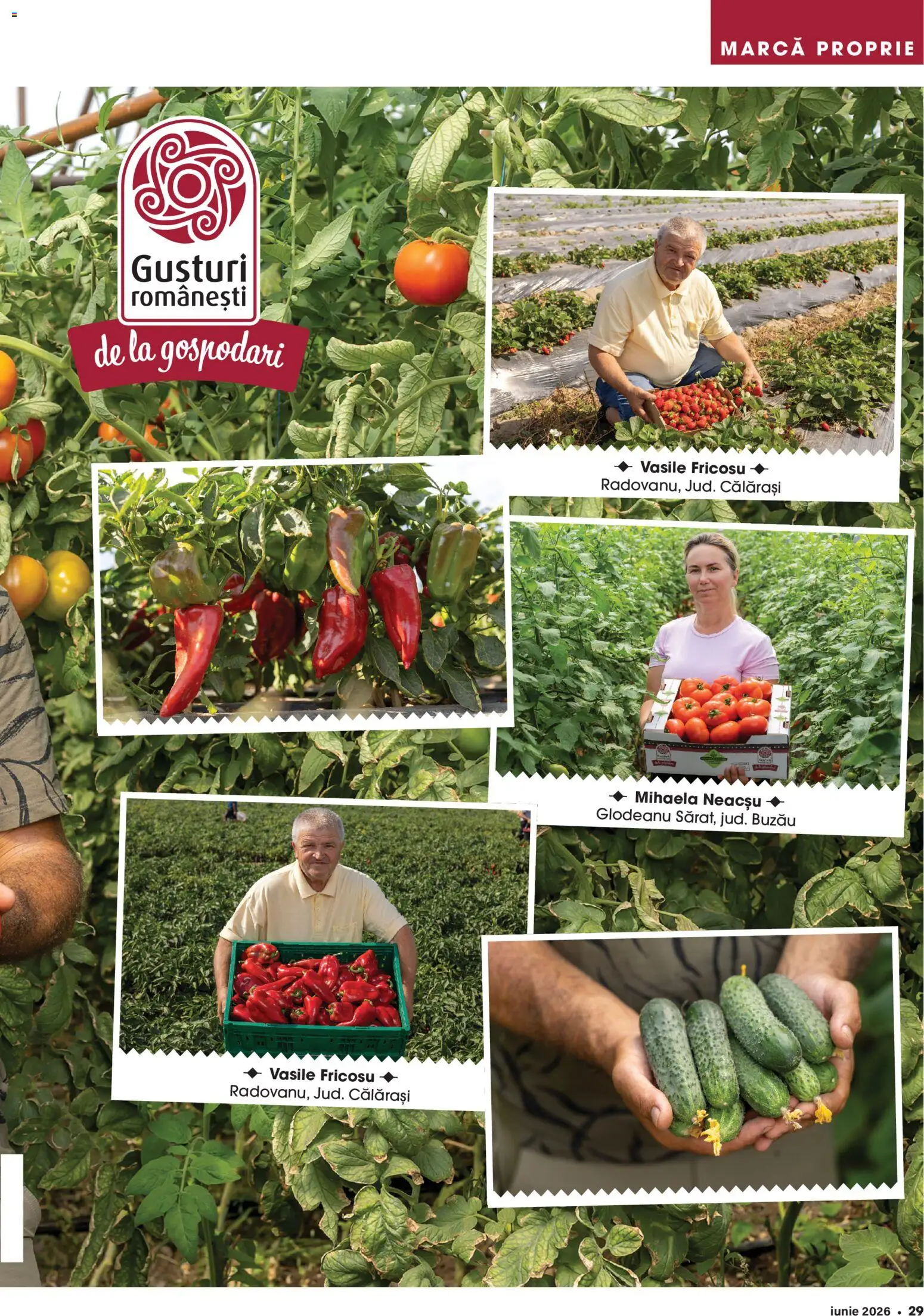 Noul catalog Mega Image – valabil de la 28.05.2026 | Pagină: 29