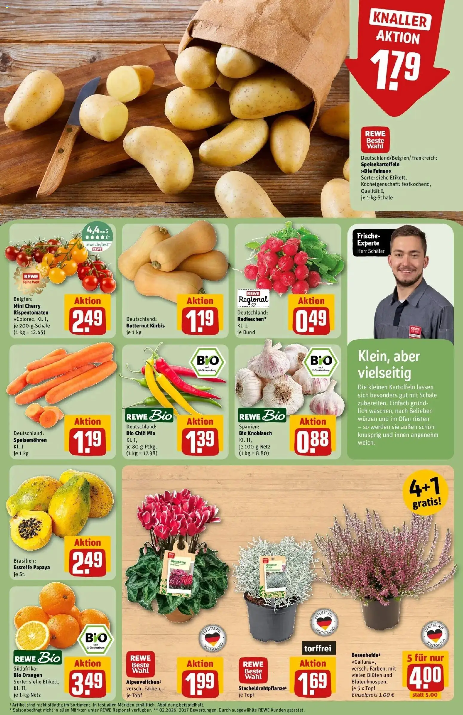 REWE Prospekt ab 05.10.2026 zum Blättern » Angebote | Seite: 9 | Produkte: Ofen, Orangen, Knoblauch, Chili