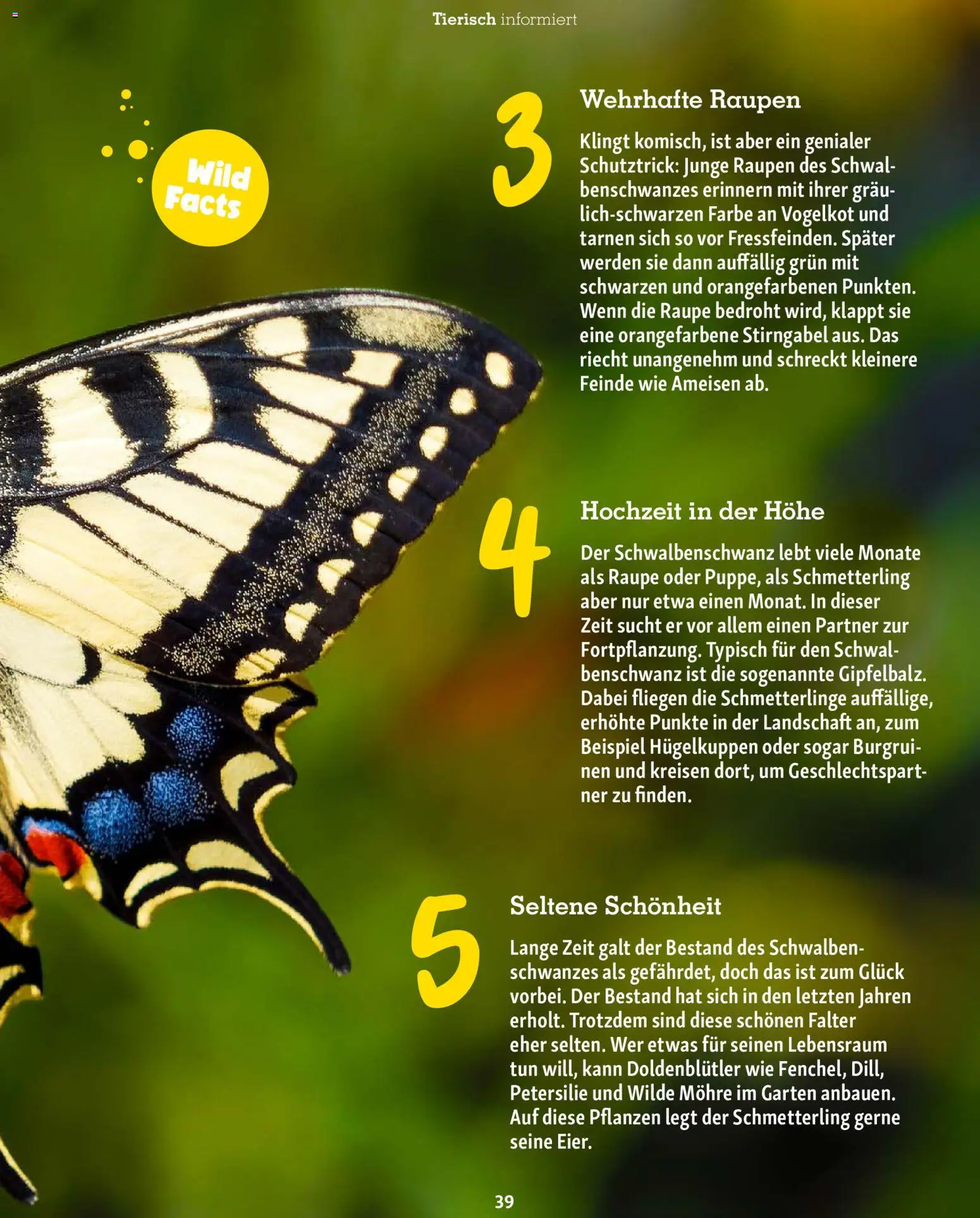 Fressnapf Friends Magazin (ab 01.07.2026) zum Blättern — page 38