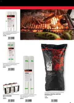 Ofertele Selgros valabile de la 30.01.2026 | Pagină: 33 | Produse: Pahare, Grătar, Role