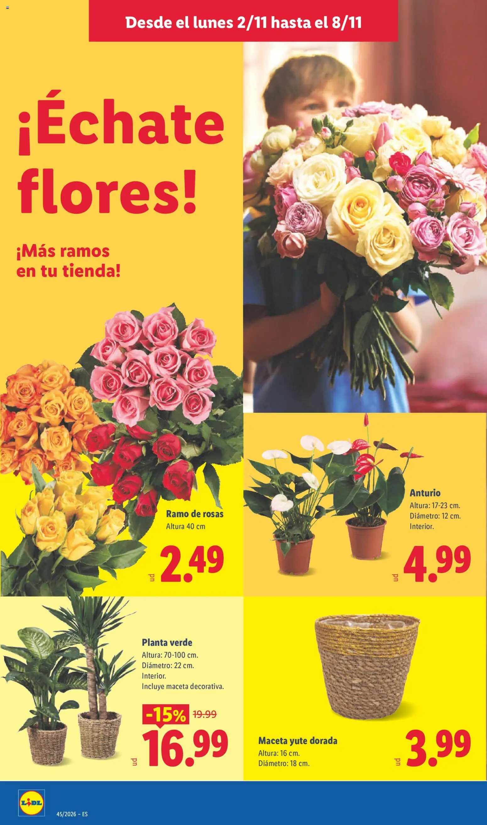 Lidl folleto │ válido desde el 02/11/2026 | Página: 38