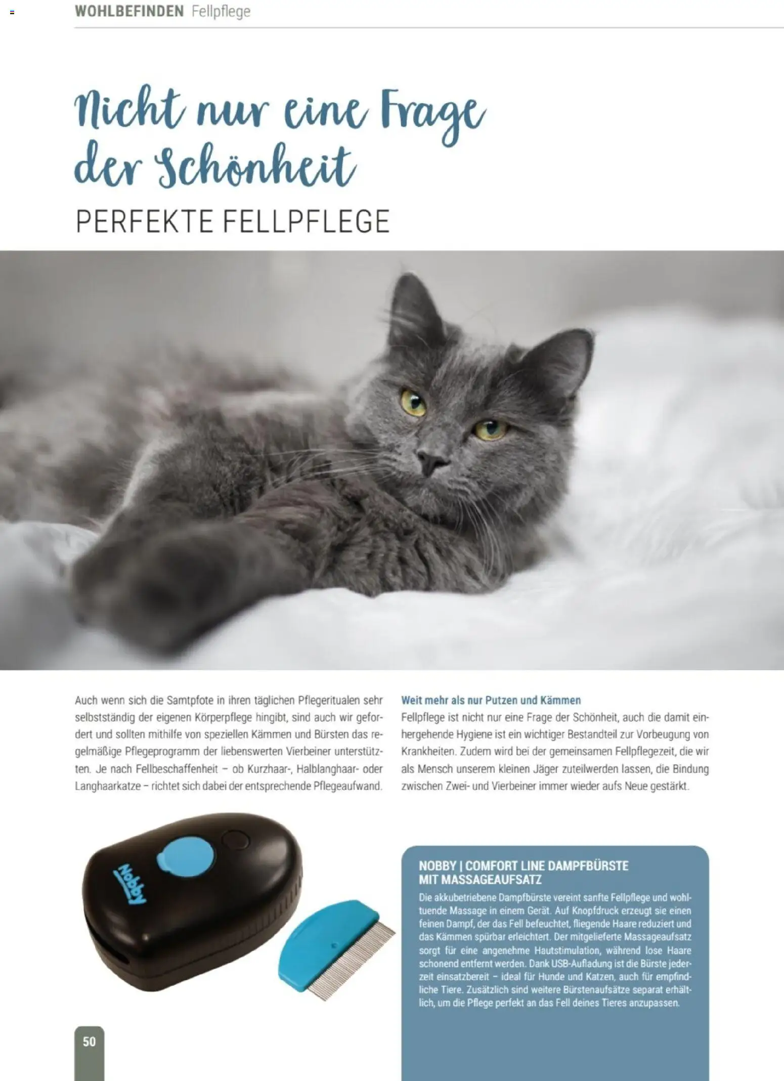 zookauf Themenkatalog Katze – gültig ab 01.10.2026 | Seite: 50 | Produkte: Bürste