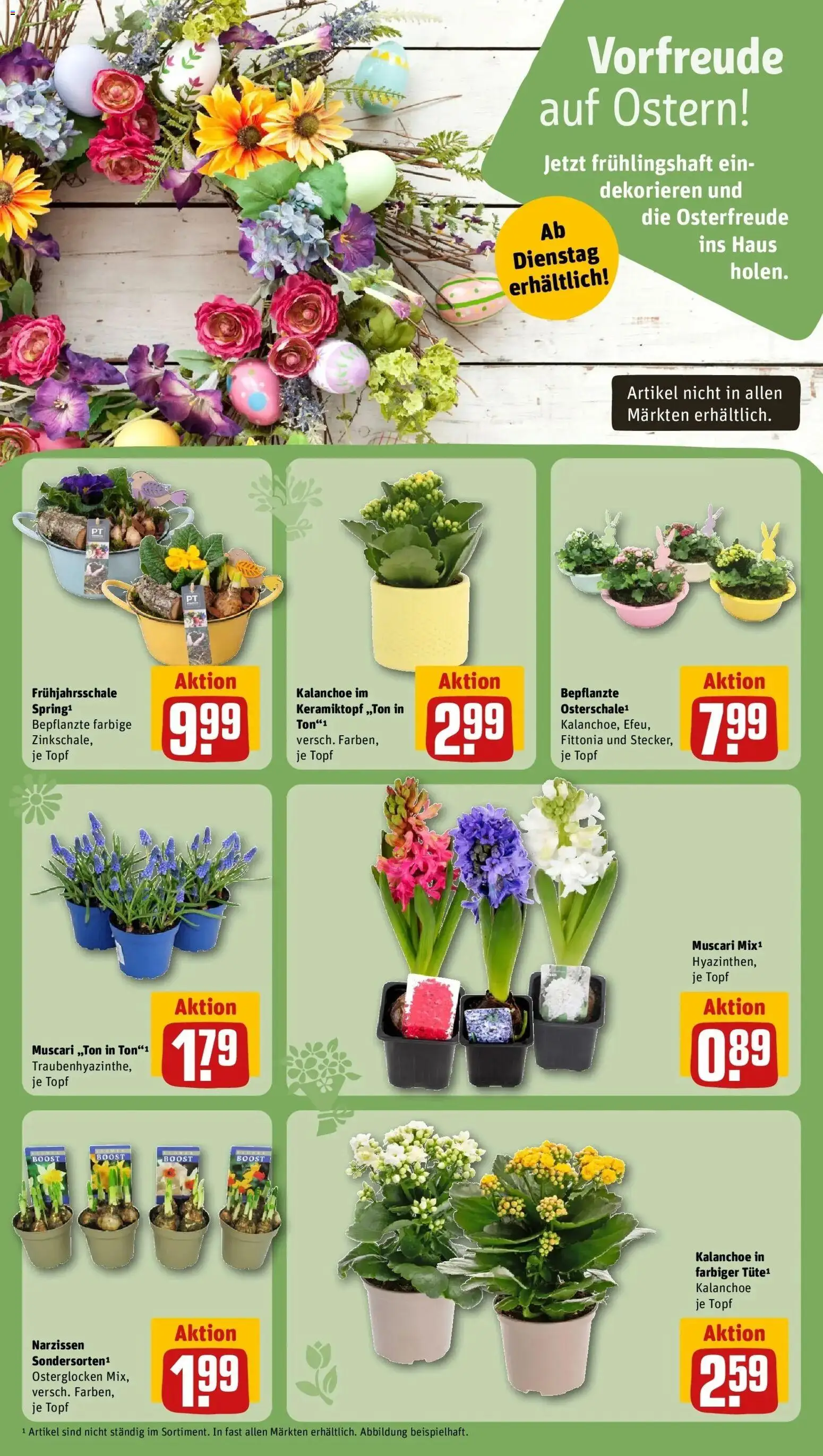 Rewe Prospekt Klein Nordende	 – gültig ab 15.03.2026 | Seite: 11