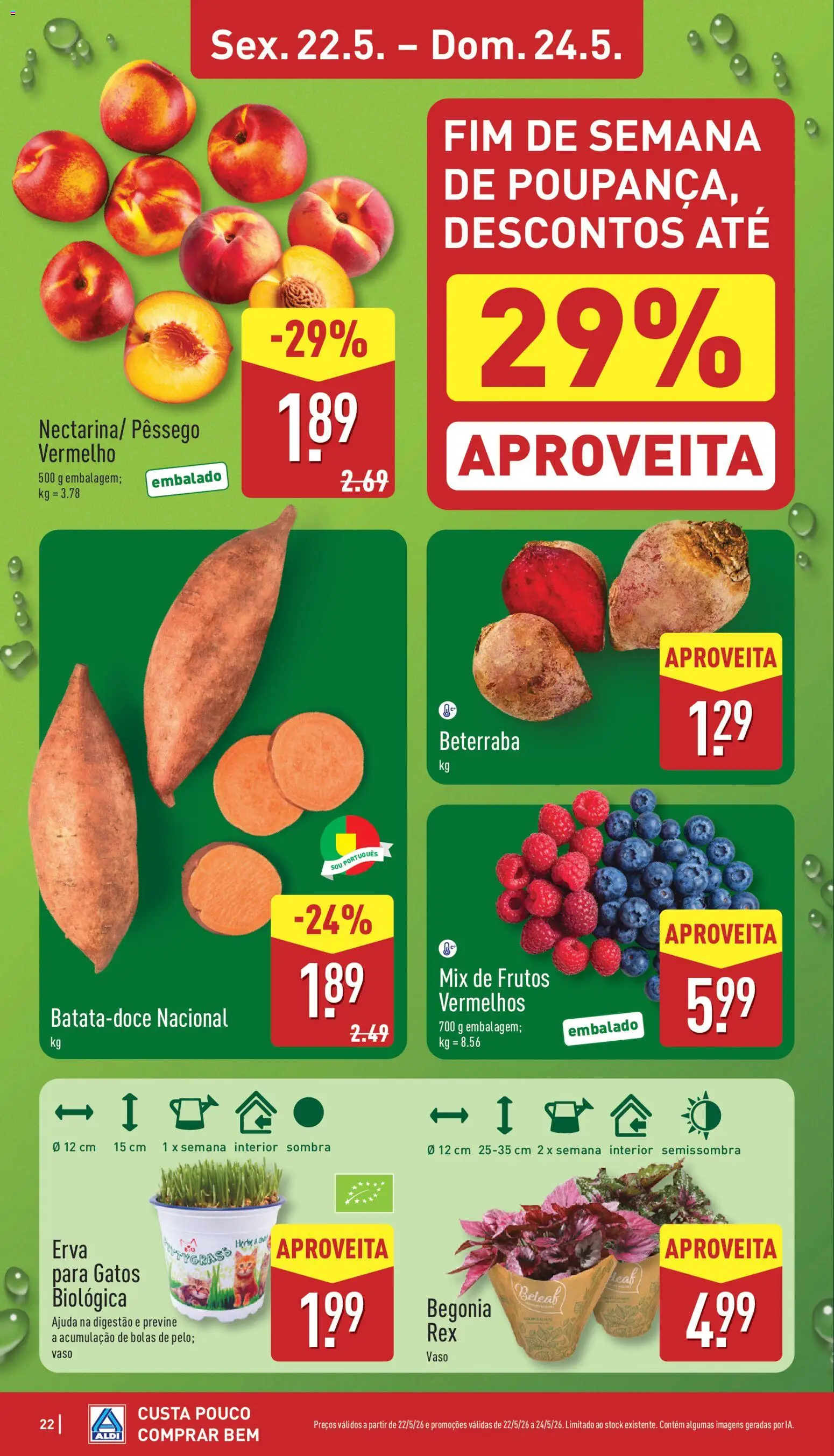 Aldi folheto │ válido de 18.05.2026 | Página: 22 | Produtos: Beterraba, Vaso
