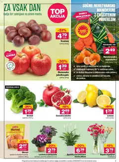 Mercator katalog akcije – veljaven od 15.10.2026 | Stran: 3