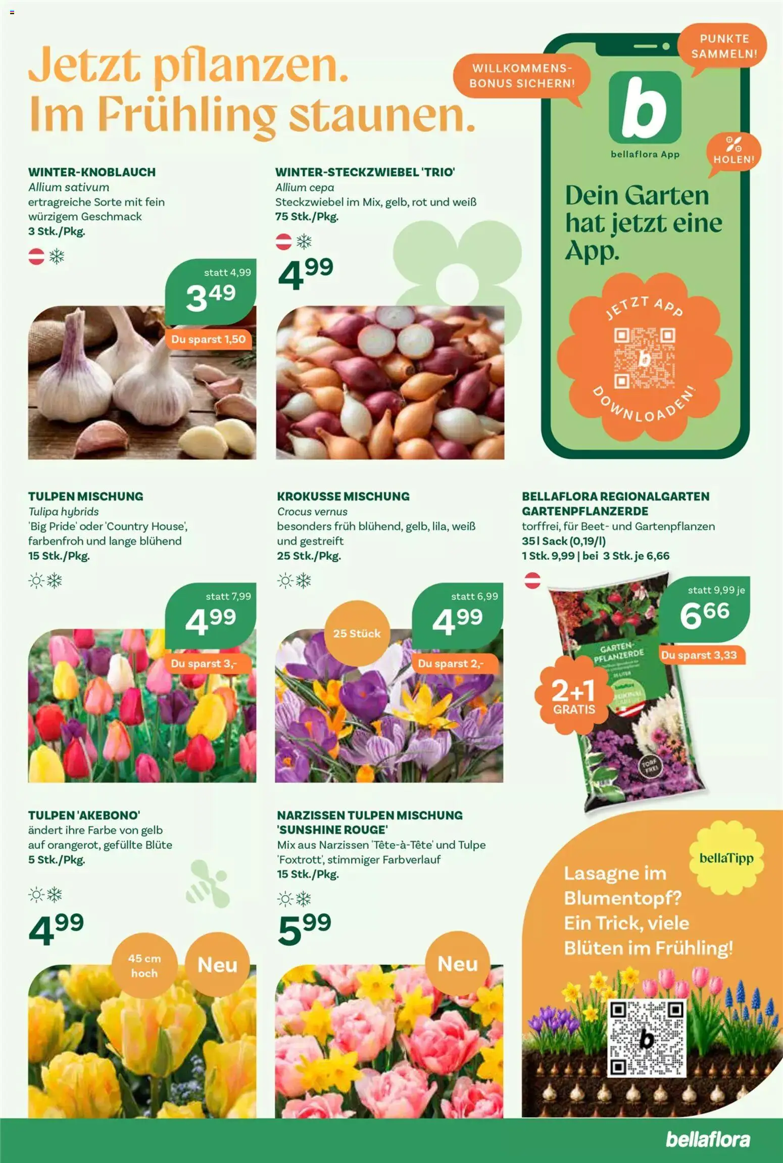 bellaflora Flugblatt gültig ab 10.09.2026 | Seite: 2 | Produkte: Blumentopf, Rouge