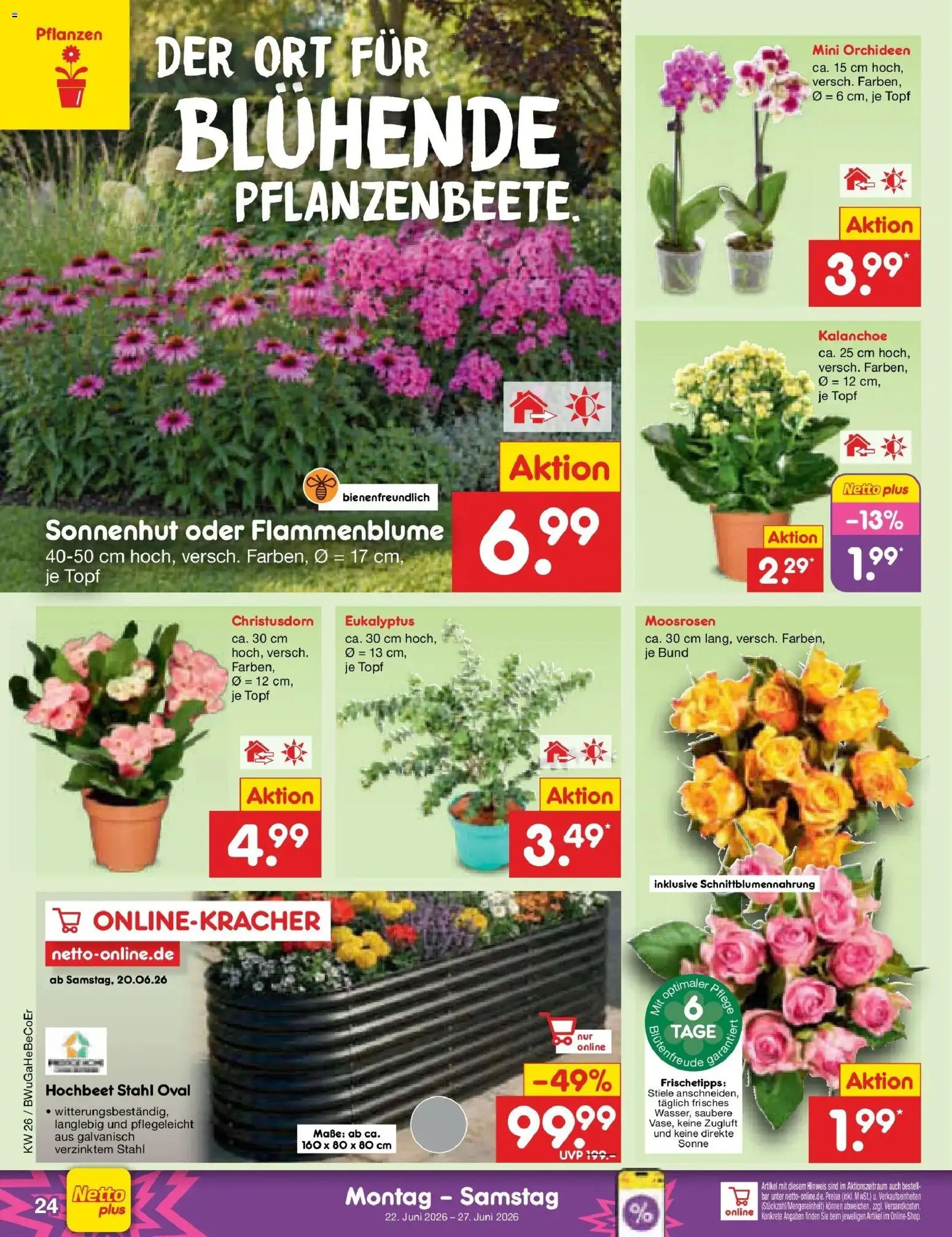 Netto Marken-Discount Prospekt Nordhausen – gültig ab 21.06.2026 | Seite: 33 | Produkte: Hochbeet