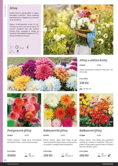 Náhled letáku Starkl katalog od 25.02.2026 | Strana: 92 | Produkty: Barvy, Cibule