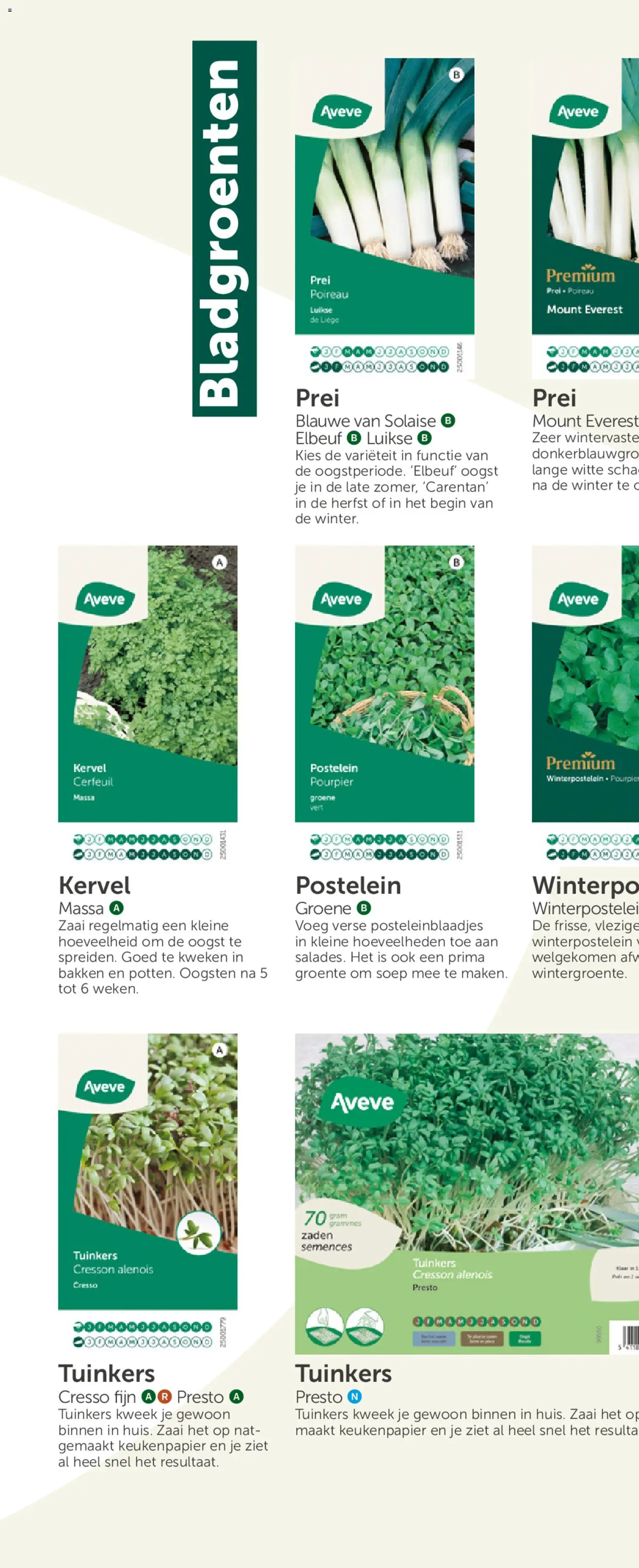 {H1} | Pagina: 16 | Producten: Prei, Keukenpapier
