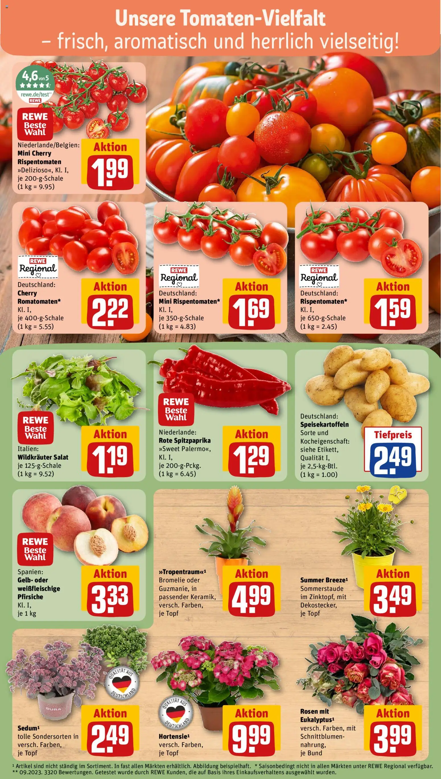 Rewe ihr Kaufpark Prospekt – gültig ab 13.07.2026 | Seite: 5 | Produkte: Salat