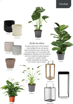 Plantagen - erbjudanden - Förhandsvisning av reklamblad från butik Plantagen aktuell från 13.01.2026 | Sida: 13