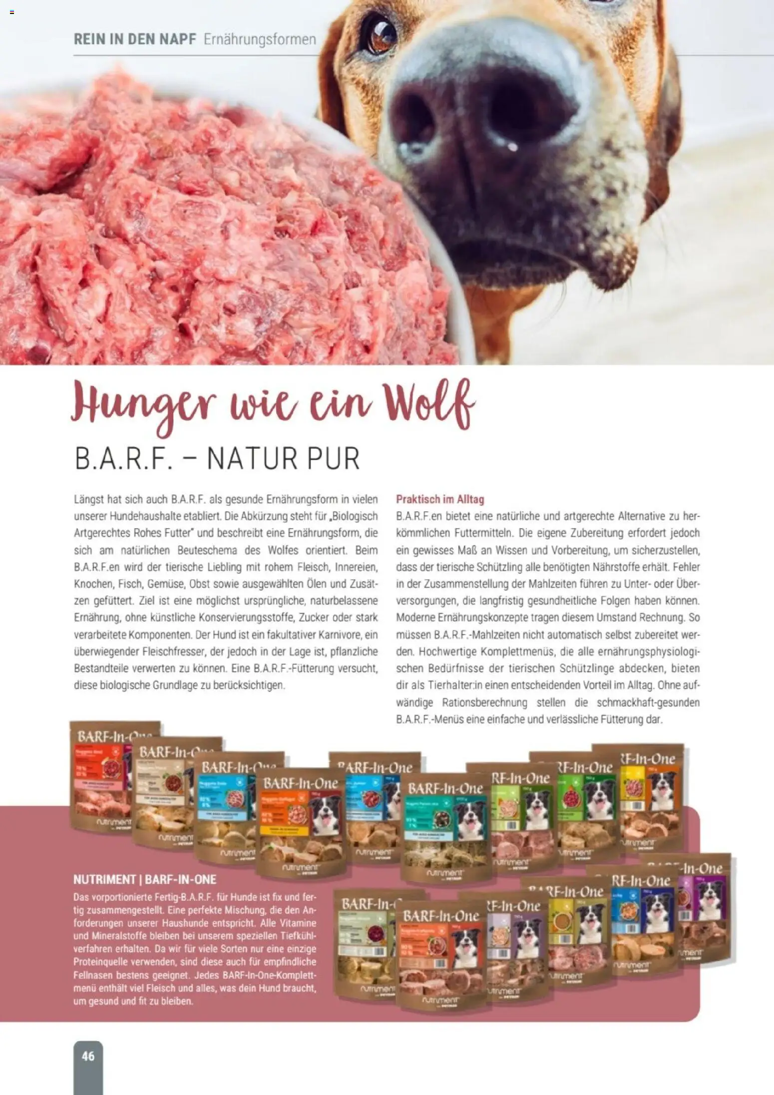 zookauf Themenkatalog Hund – gültig ab 18.05.2026 | Seite: 46 | Produkte: Obst, Zucker, Fleisch
