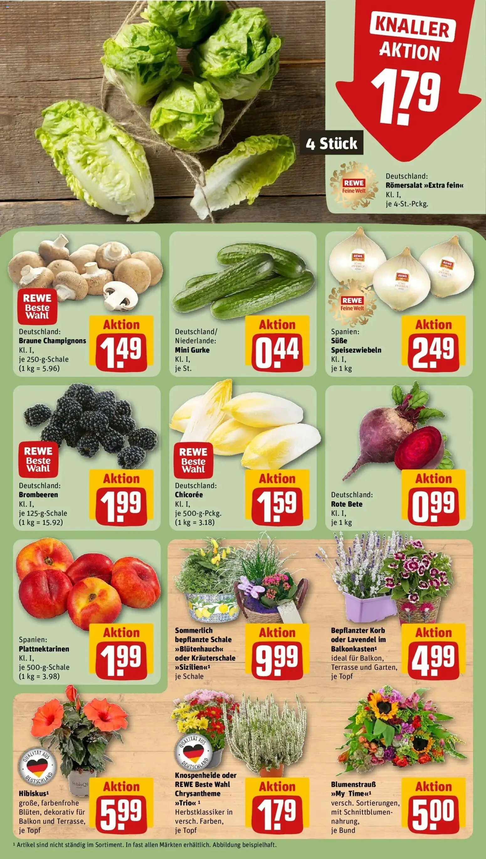 REWE Prospekt ab 17.08.2026 zum Blättern » Angebote | Seite: 9