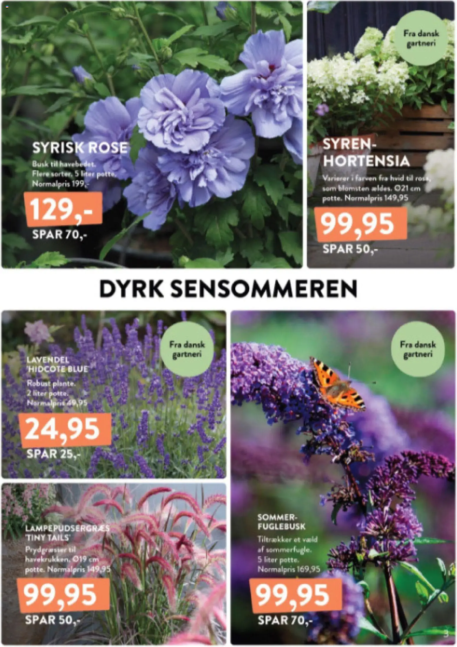Plantorama tilbudsavis – gyldig fra 14/08/2026 | Side: 3 | Produkter: Søm