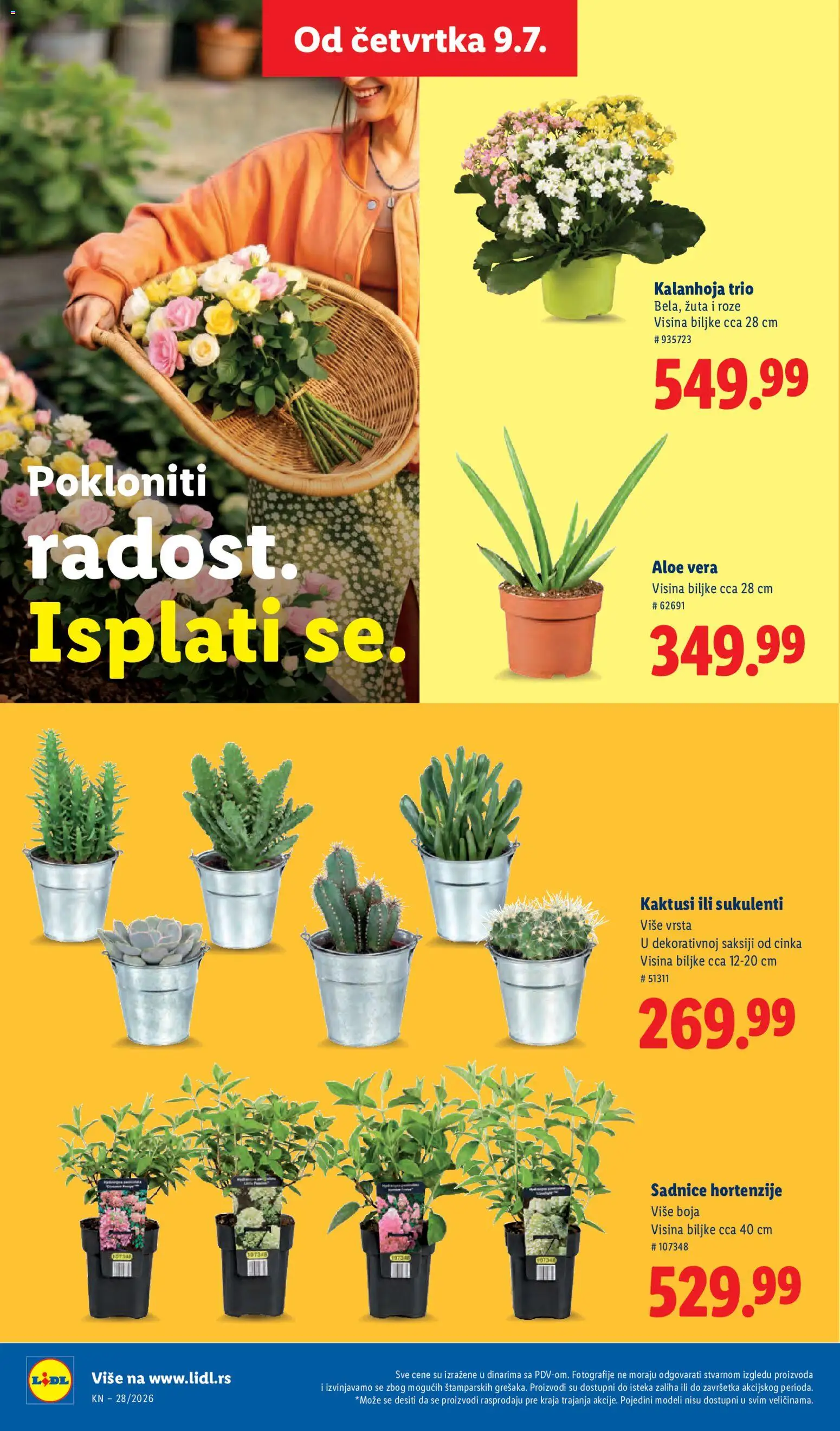 Lidl katalog - važi od 09.07.2026 | Strana: 62 | Proizvode: Kalanhoja
