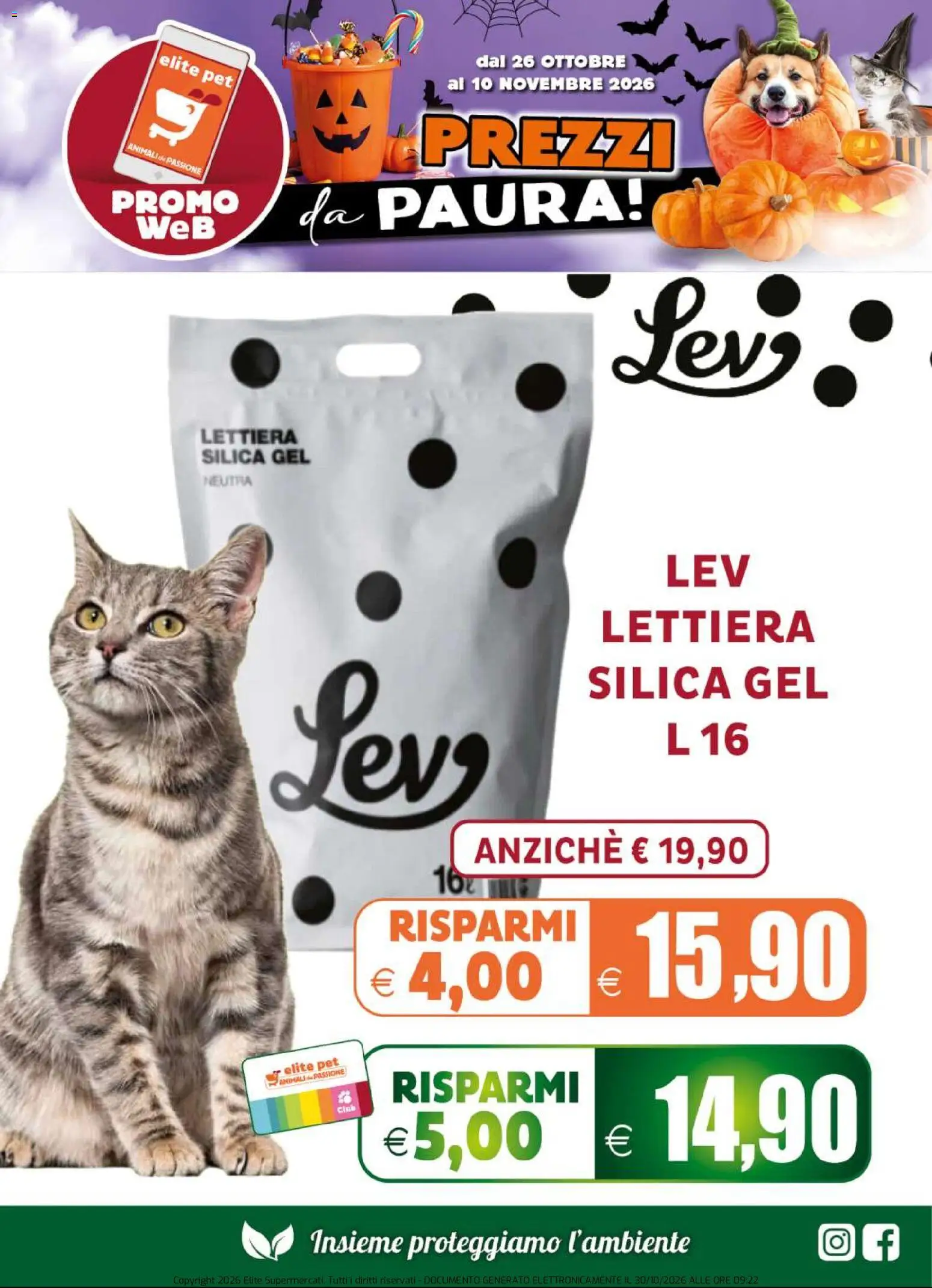 Volantino Elite Supermercati del 26/10/2026 | Pagina: 13