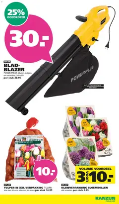 Ranzijn folder - Voorbeeld van een folder van Ranzijn, geldig van 18-10-2026 | Pagina: 15 | Producten: Tulpen