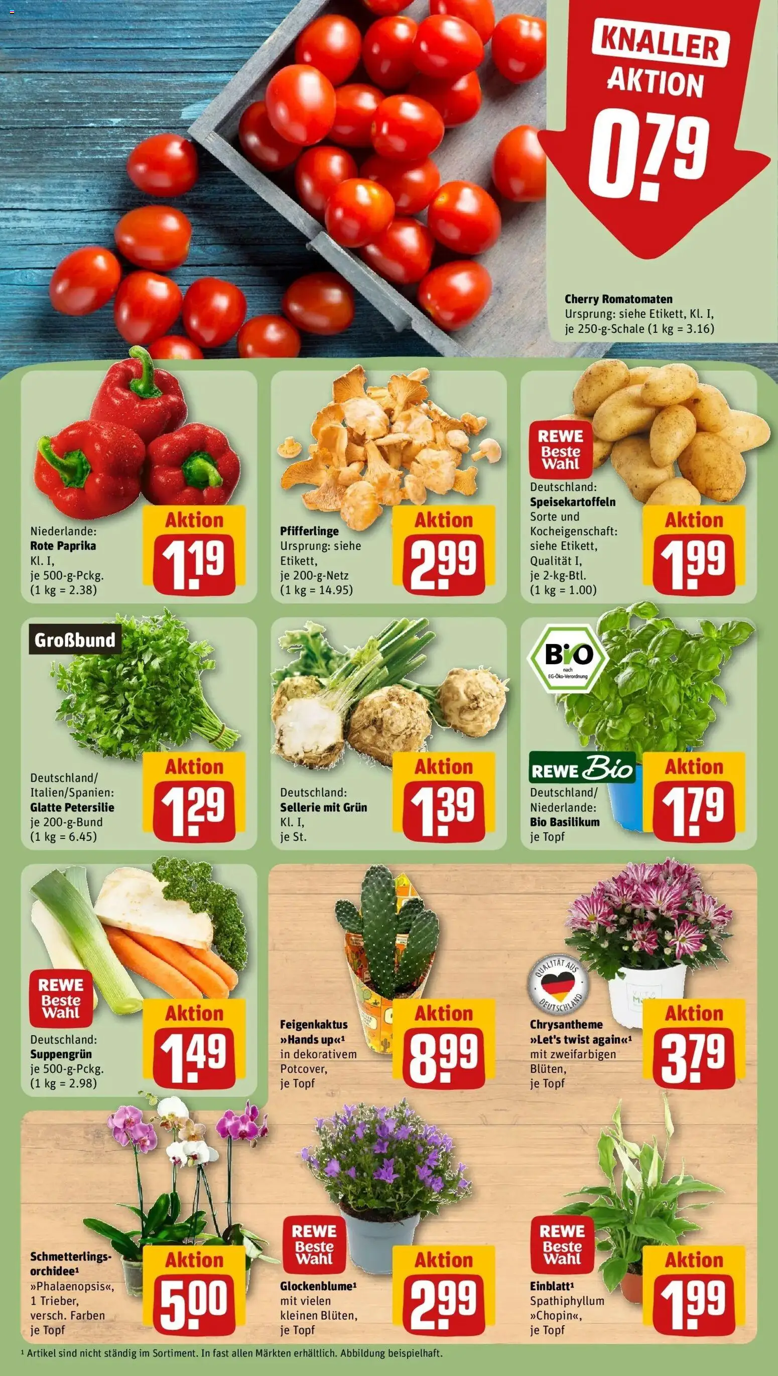 REWE Prospekt ab 10.08.2026 zum Blättern » Angebote | Seite: 5 | Produkte: Paprika, Pfifferlinge, Petersilie, Rote Paprika