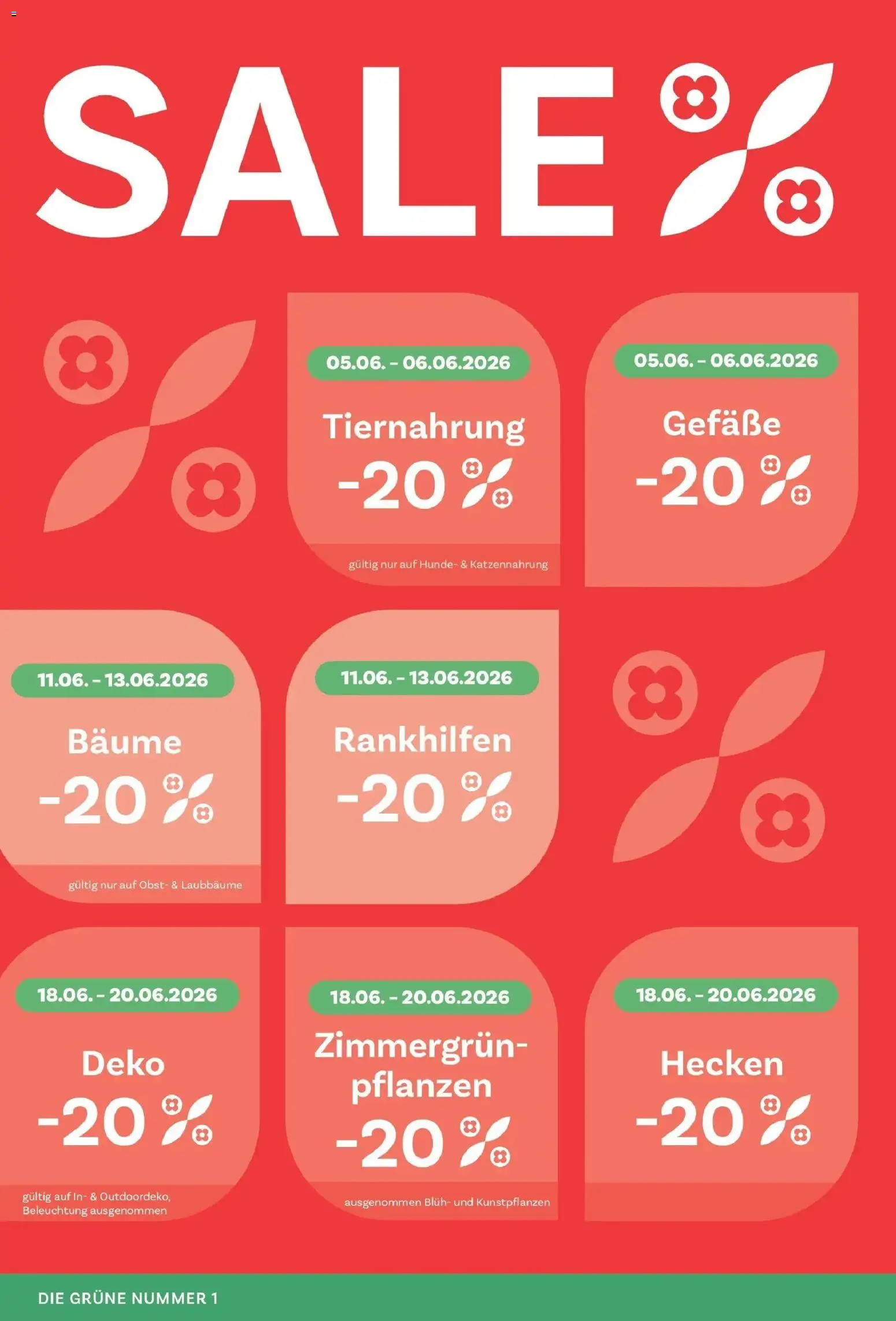 bellaflora Flugblatt gültig ab 05.06.2026 | Seite: 6 | Produkte: Obst