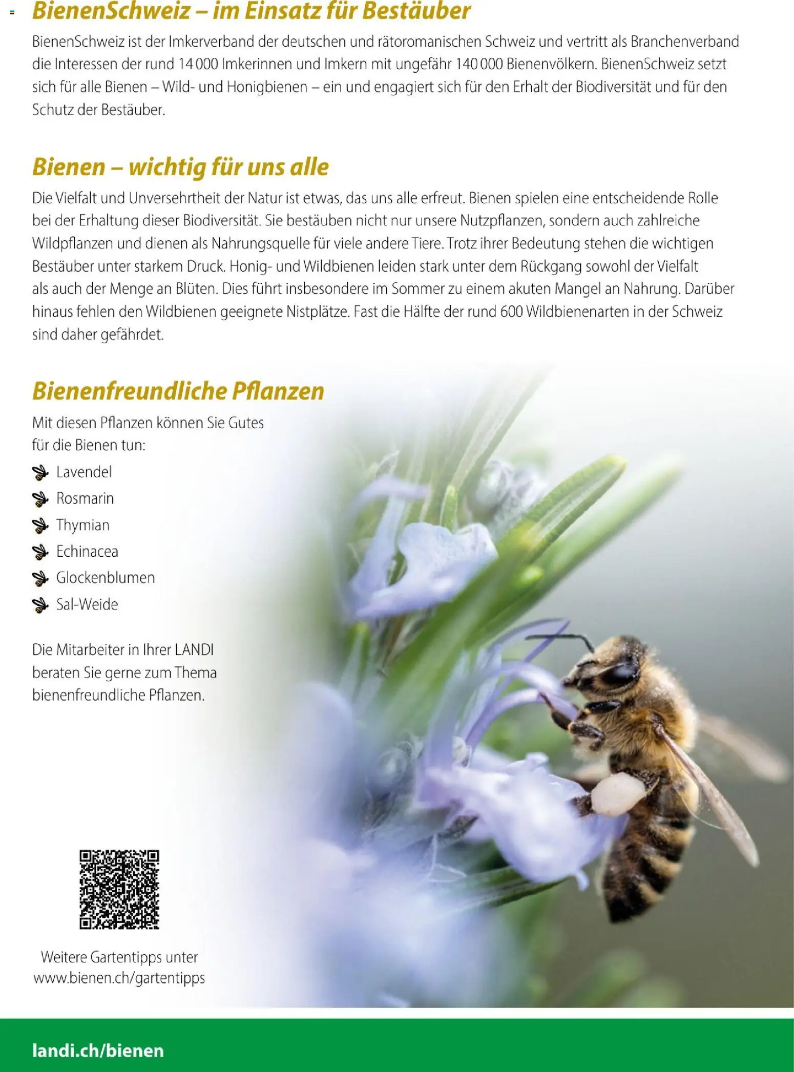 Landi aktionen Wild- und Honigbienen – gültig ab 29.03.2026 | Seite: 2