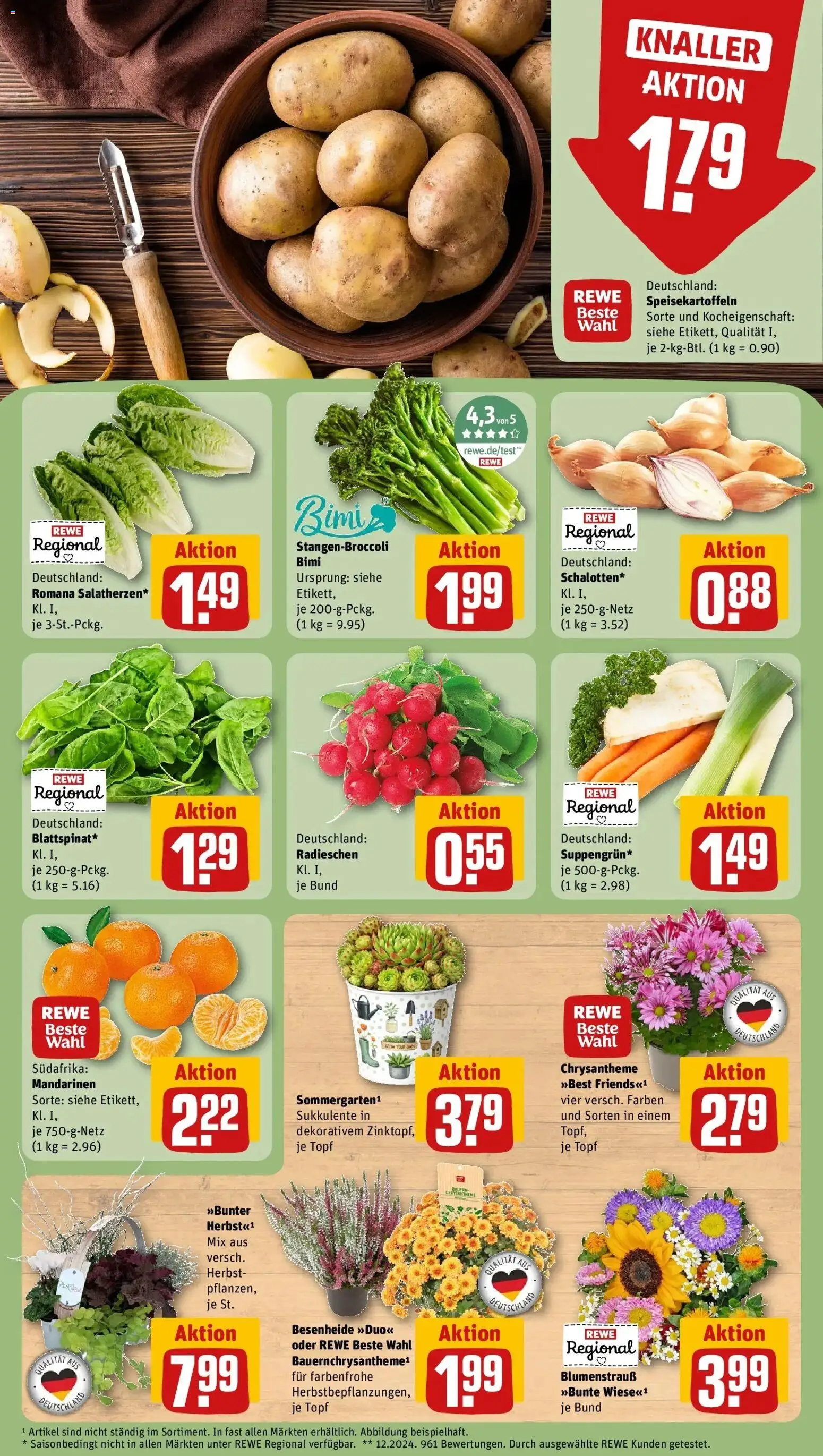 REWE Prospekt ab 07.09.2026 zum Blättern » Angebote | Seite: 7 | Produkte: Mandarinen