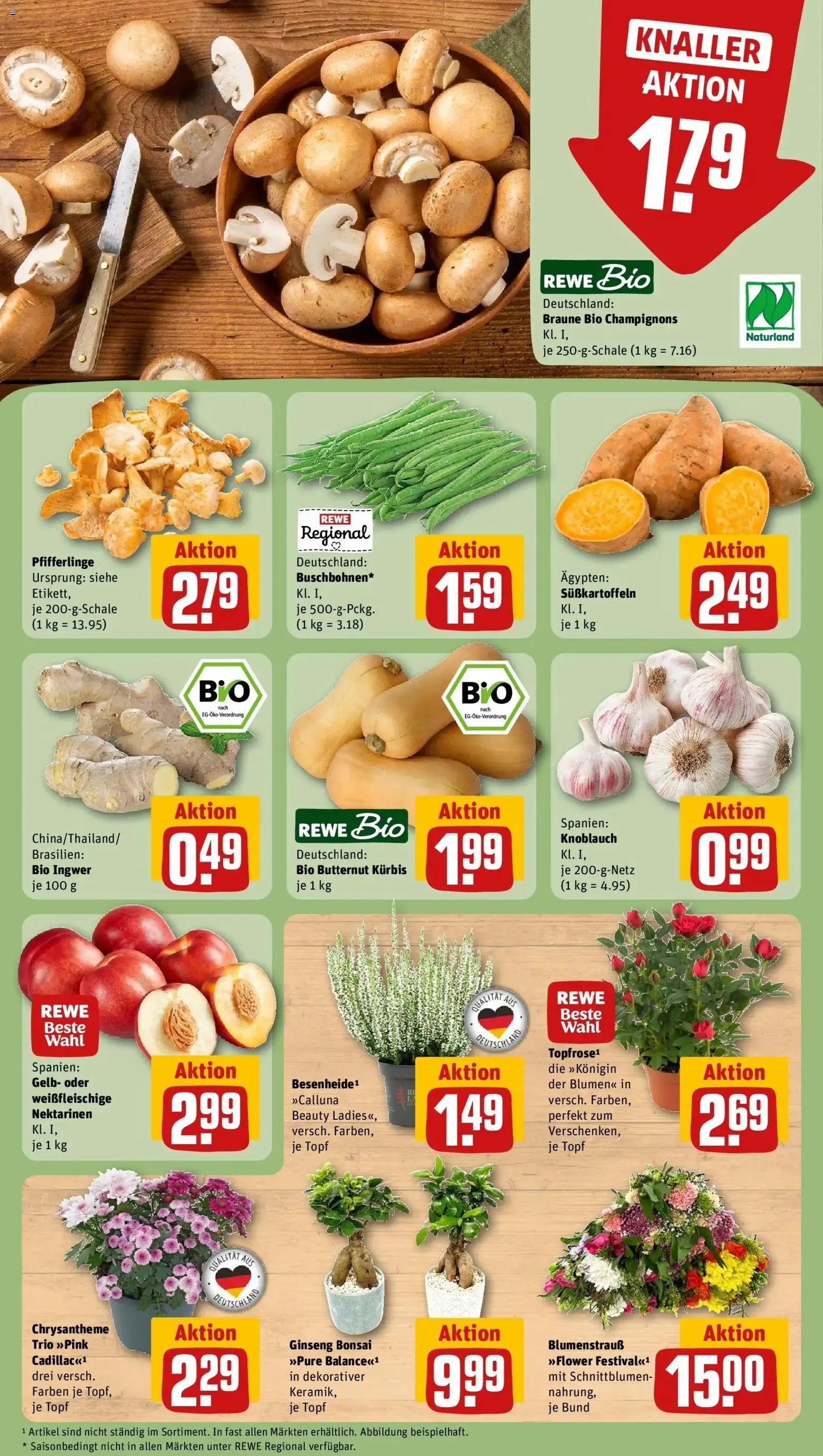 REWE Prospekt ab 31.08.2026 zum Blättern » Angebote | Seite: 7 | Produkte: Nektarinen, Champignons, Knoblauch, Pfifferlinge