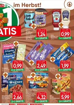 Spar Flugblatt ab 08.10.2026 gültig | Seite: 5