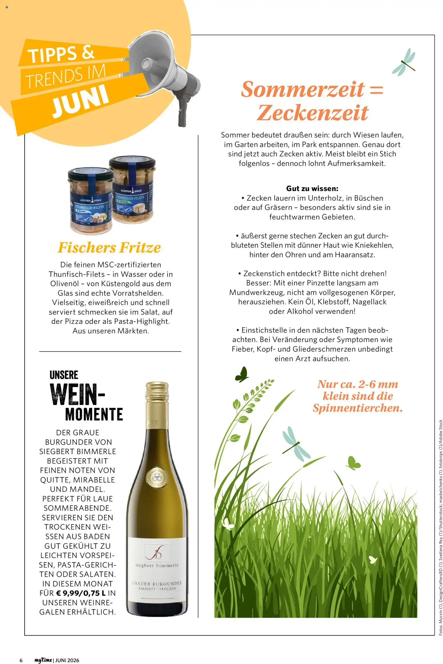 Famila Nordwest myTime Juni 2026 – gültig ab 01.06.2026 | Seite: 6 | Produkte: Olivenol, Nagellack, Wasser, Pinzette