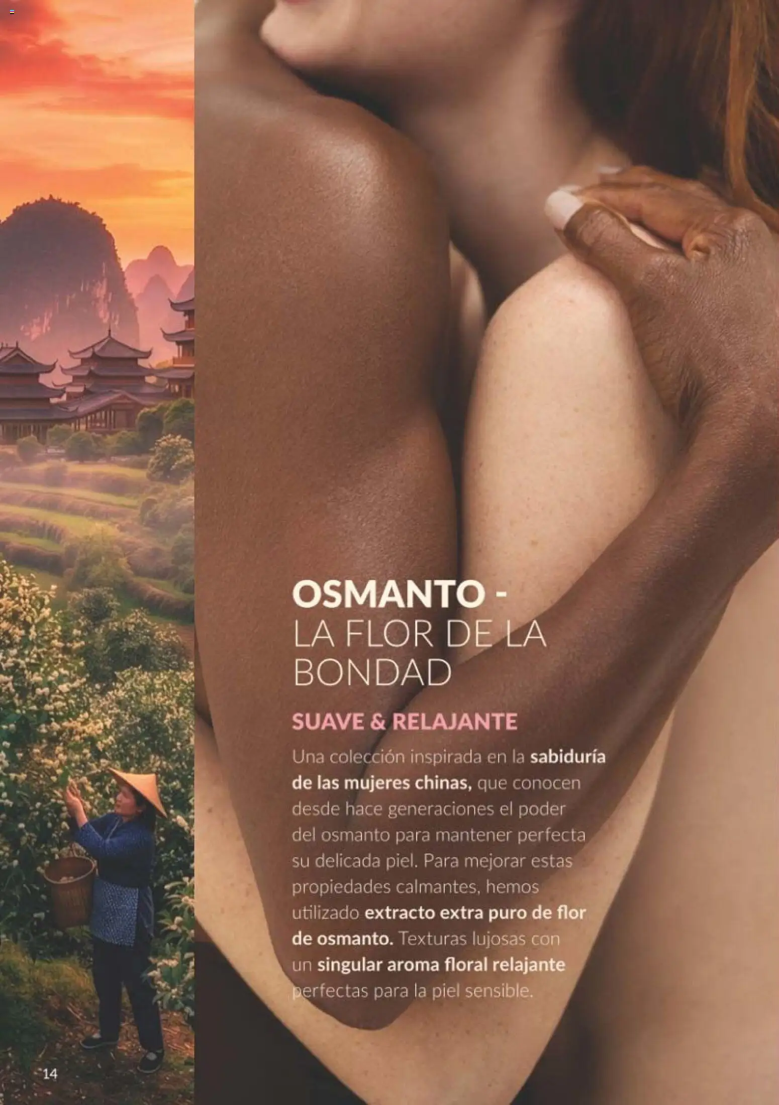 Folleto Avon - Página 14 - Ofertas válidas hasta el 31 de octubre de 2026