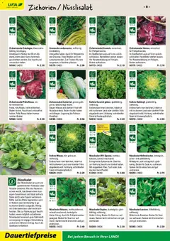 Landi ( Deaktivovane pre Letakomat )  Aktionen ab 07.01.2026 gültig | Seite: 10 | Produkte: Salat