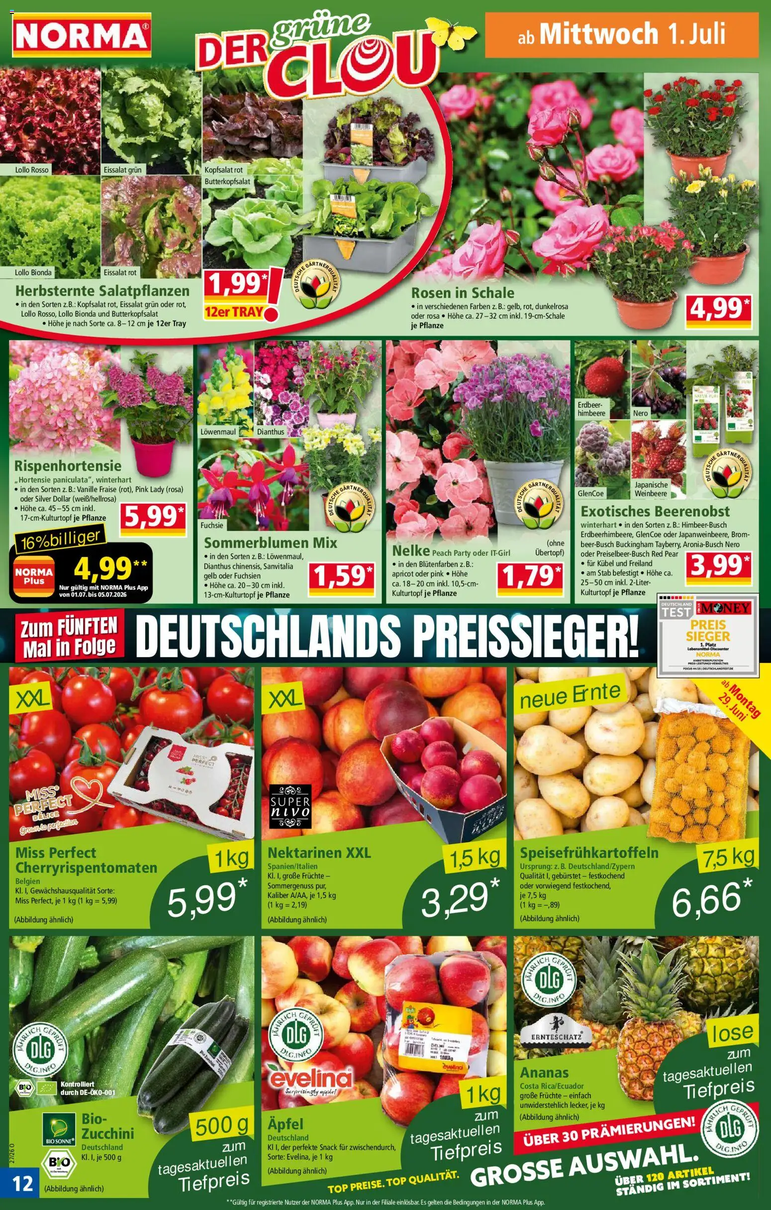 Norma Prospekt – gültig ab 29.06.2026 | Seite: 12