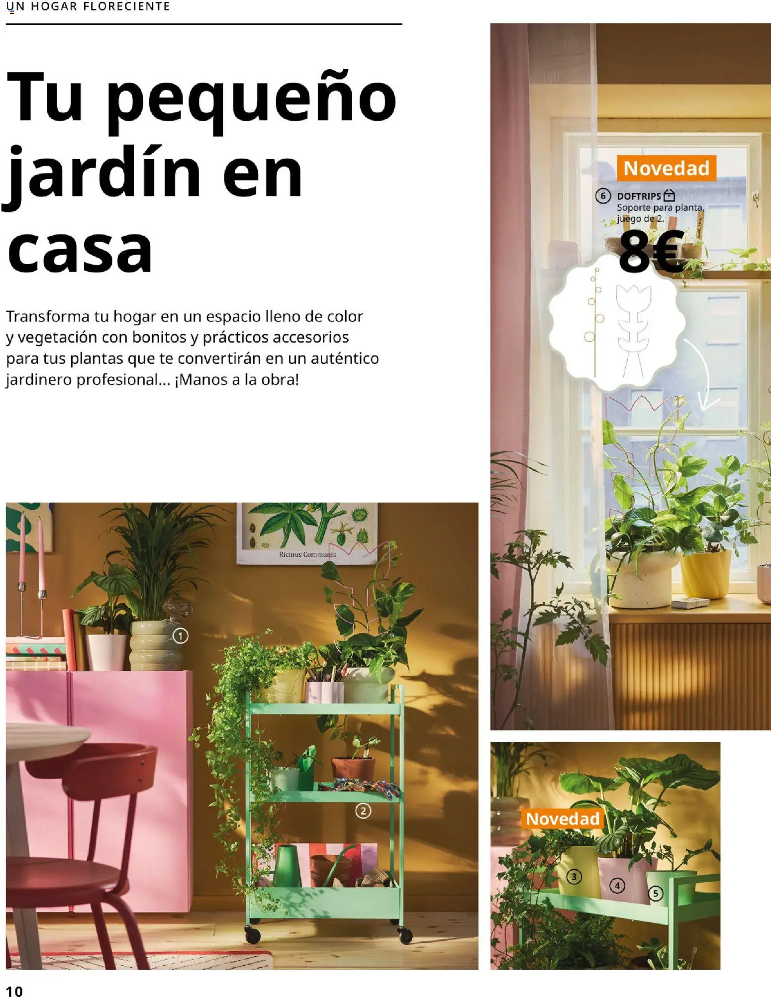 IKEA - Colecciones de primaver │ válido desde el 01/01/2026 | Página: 10 | Productos: Té