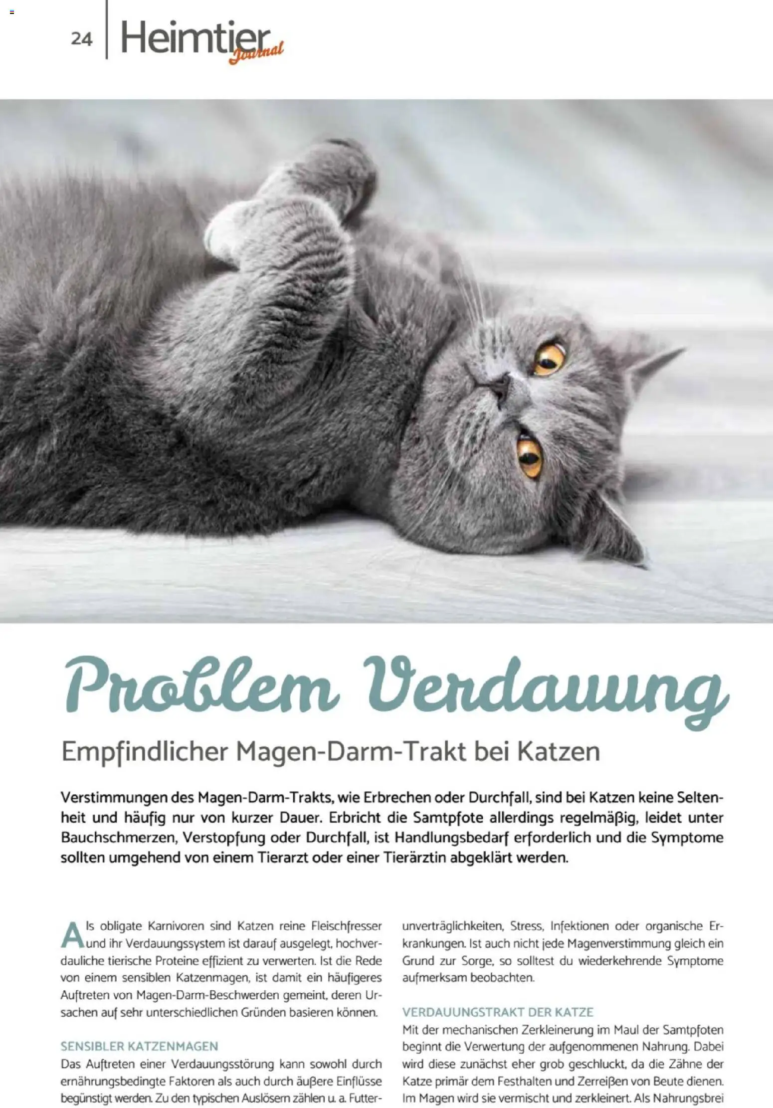 zookauf Heimtier Journal – gültig ab 01.07.2026 | Seite: 24