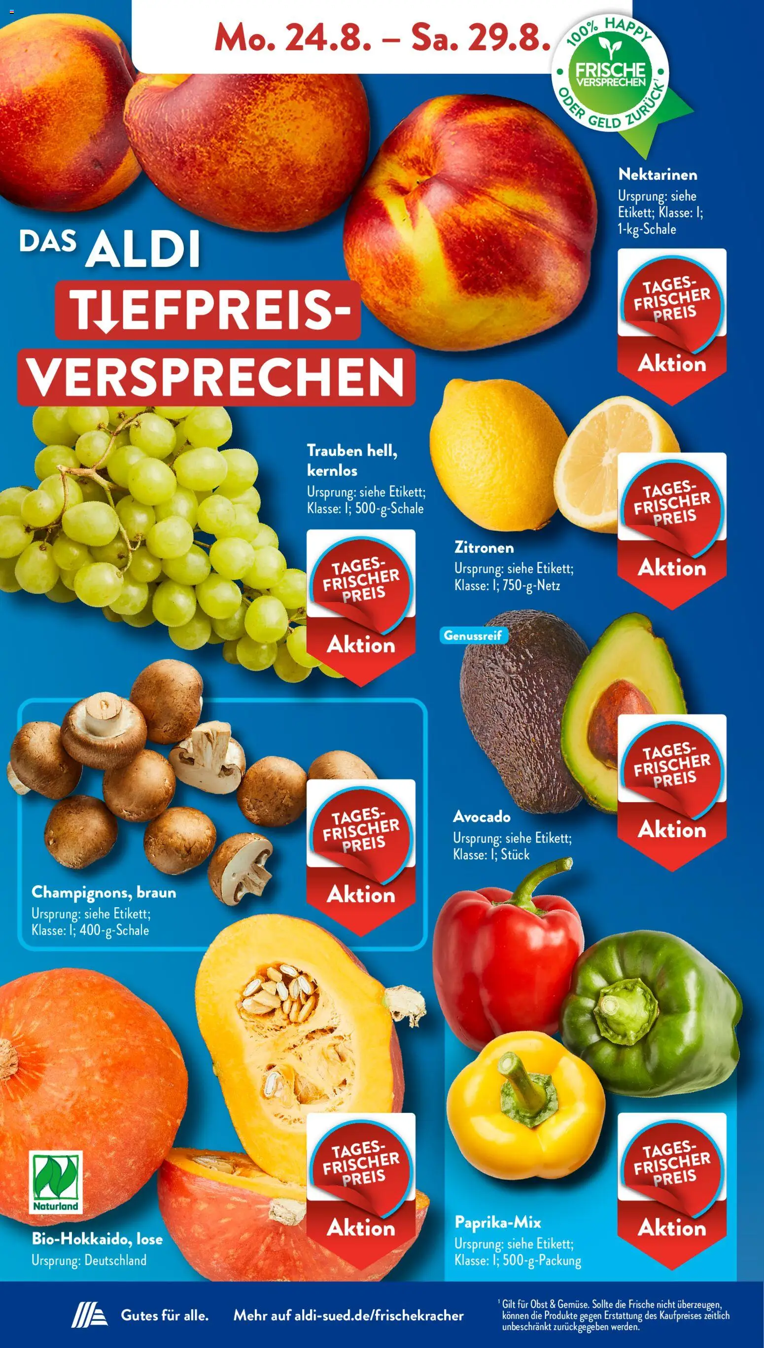 Aldi Süd Prospekt – gültig ab 24.08.2026 | Seite: 3 | Produkte: Home creation