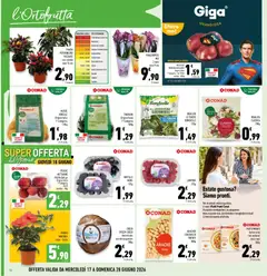 Anteprima del volantino Conad volantino Superstore Campania valido a partire dal 17.06.2026 | Pagina: 14