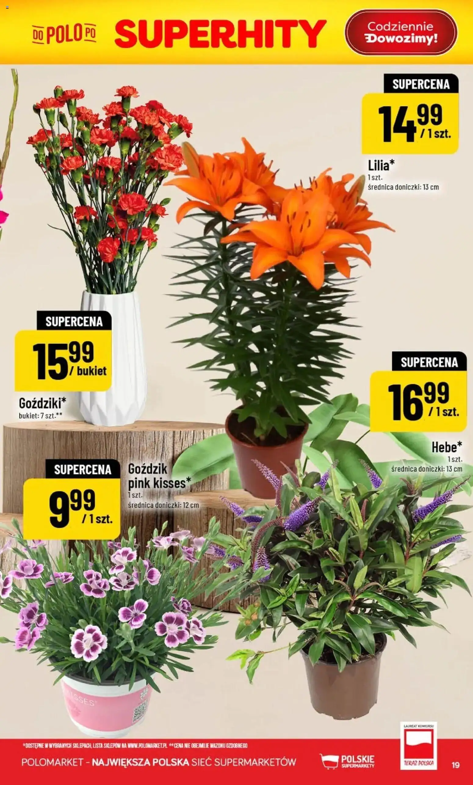 POLOmarket gazetka od 05.08.2026 | Strona: 19 | Produkty: Goździk, Doniczki