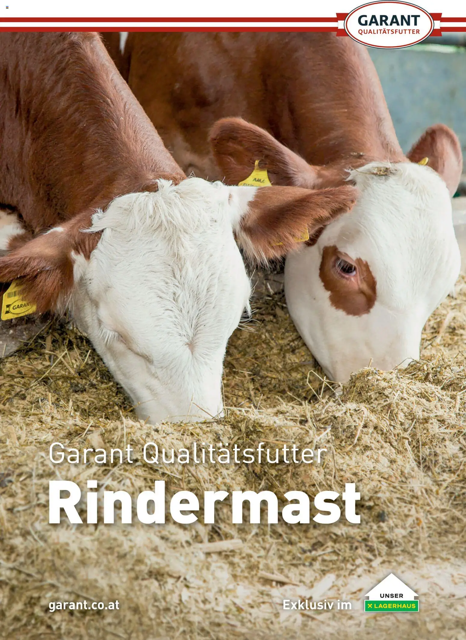 Lagerhaus Rindermast gültig ab 31.07.2026 | Seite: 1