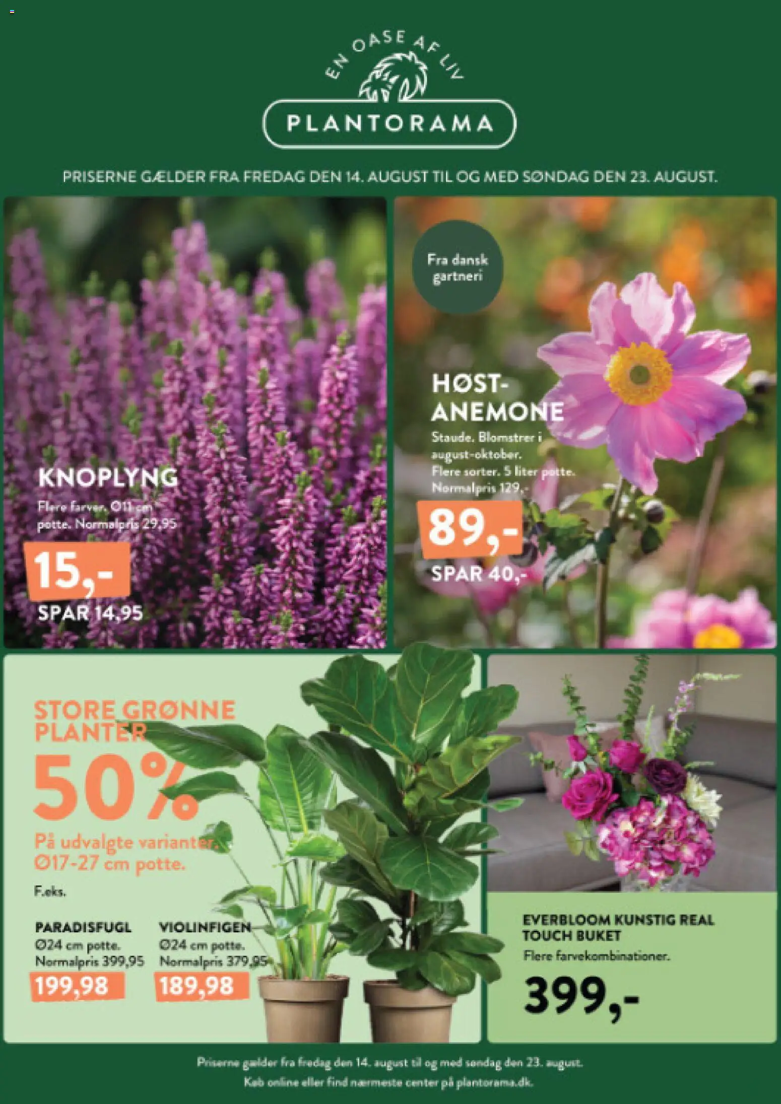 Plantorama tilbudsavis – gyldig fra 14/08/2026 | Side: 1