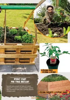 Náhled letáku HORNBACH leták - Zahrada od 01.01.2026 | Strana: 11 | Produkty: Pařeniště, Bylinky, Vyvýšené záhony, Rostliny