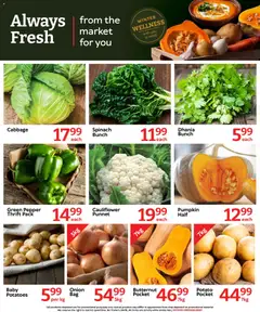 Oxford Freshmarket specials catalogue – valid from 17.06.2026 | Page: 6
